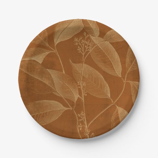 Moderne Botanik VI Pappteller (Vorderseite)