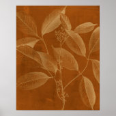 Moderne Botanik VI Poster (Vorne)