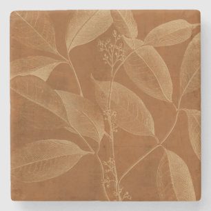 Moderne Botanik VI Steinuntersetzer