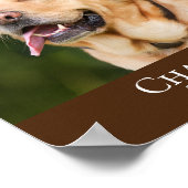 Moderne Braun Foto-Pet-Memorial Poster (Ecke)