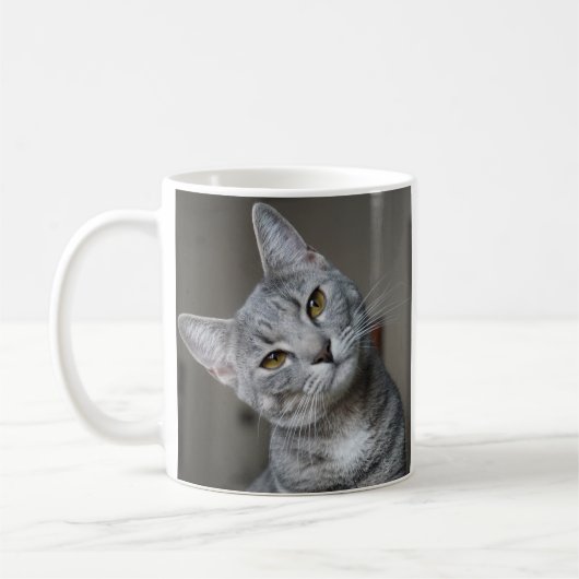 Moderne Cat Foto Gallery Kaffeetasse (Links)