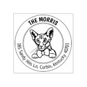 Moderne Cat-Rücksendeadresse Gummistempel (Prägung)