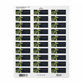 MODERNE CHIC LEAFE SCHWARZE FOLIAGE WATERCOLOR ADR (Vorne)