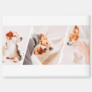 Moderne Cool 3 Foto Namen Collage Mehrfach-Tierbes Magnet