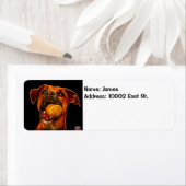 Moderne Dog Art - Boxer (Insitu)