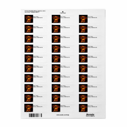 Moderne Dog Art - Boxer (Vorne)