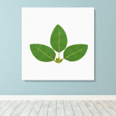 Moderne Drei Green Bay-Blätter Leinwanddruck (Insitu (Holzboden))