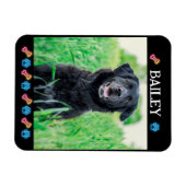 Moderne, einfache Hausnummer und Foto Magnet (Horizontal)
