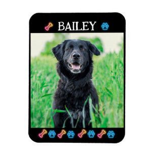 Moderne, einfache Hausnummer und Foto Magnet