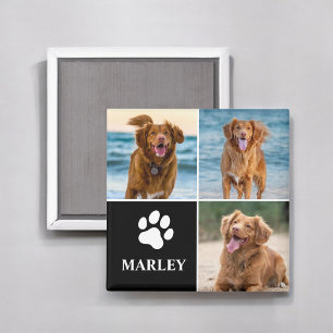 Moderne einfache Hunde-Liebhaber-Foto-Collage Haus Magnet