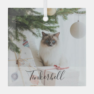 Moderne einfache Klassiker mit Namen und Haustierf Ornament Aus Glas