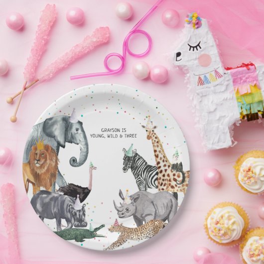 Moderne, einfache Party- und Aquarellplatte Pappteller (Party)