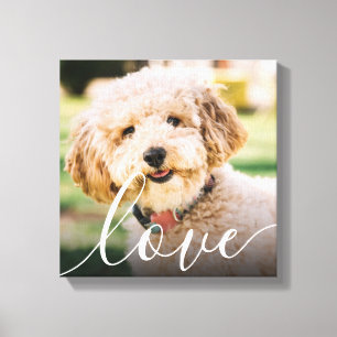 Moderne einfache Schrift Liebe Haustier Foto Erinn Leinwanddruck