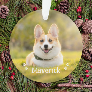 Moderne einfache stilvolle personalisierte Pet-Hun Ornament