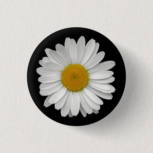 Moderne, einfache Weiße Daisy-Blume auf Schwarz Button (Vorderseite)