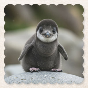 Moderne einfache weiße Marmor-Rustic-Papier-Unters Untersetzer