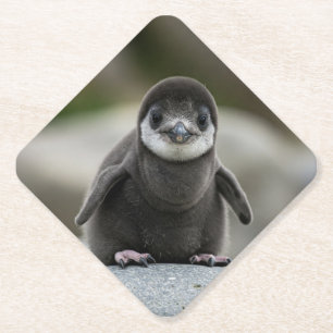 Moderne einfache weiße Marmor-Rustico-Papierset fü Untersetzer