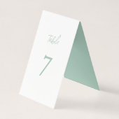 Moderne Elegant Eucalyptus Mint Boho Chic (Rückseite)