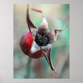 Moderne Elegante Abstrakte Rose Angesagtes Makro Poster