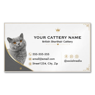 Moderne elegante British Shorthair-Zucht Magnetische Visitenkarte