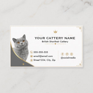 Moderne elegante British Shorthair-Zucht Visitenkarte
