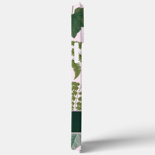 Moderne, elegante grüne Frühlingsstifte und Blätte Case-Mate iPhone Hülle (Rückseite / Rechts)