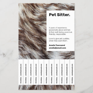 Moderne Elegante Minimalistische Ad-Pet-Sitter Flyer