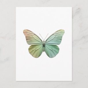Moderne elegante minimalistische Schmetterlingsdes Postkarte