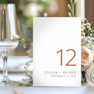 Moderne elegante rustikale Terrakotta-Hochzeit Tischnummer