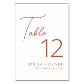 Moderne elegante rustikale Terrakotta-Script-Hochz Tischnummer (Rückseite)