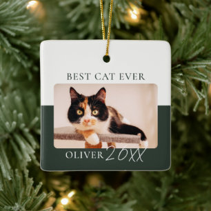Moderne Farbblock benutzerdefinierte beste Katze j Keramikornament