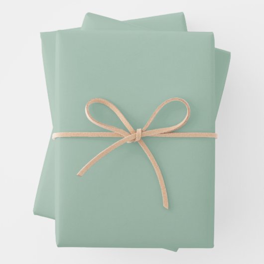 Moderne Farben graue Papiertüten Geschenkpapier Set (Beispiel)