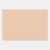 Moderne Farben pfirsichfarbene Papierblätter Geschenkpapier Set (Vorderseite 2)