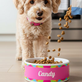 Moderne farbenfrohe Retro geometrische Keramik Pet Napf