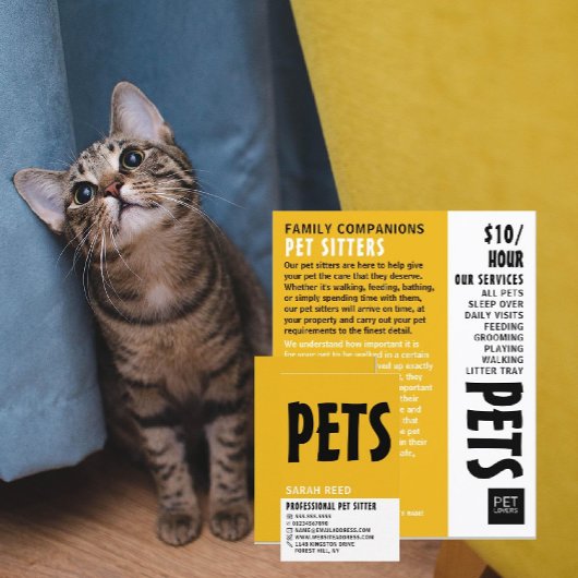 Moderne, fette, sitzende Servicewerbung Flyer