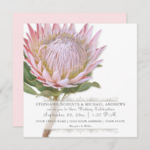Moderne, florale Elegant Einfache rosa Protea Blum