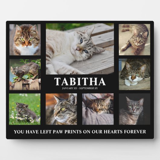Moderne Foto Collage Cat Memorial Plaque Fotoplatte (Vorderseite)