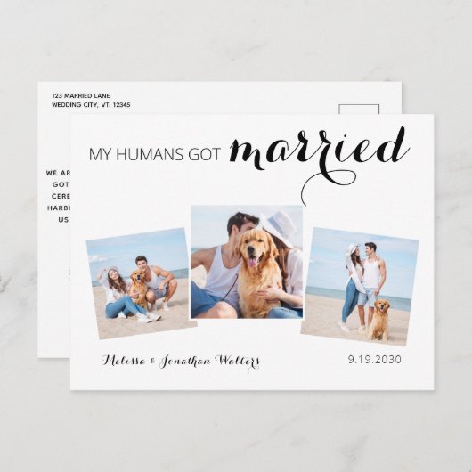 Moderne Foto Collage Hund Hochzeitfeier Ankündigungspostkarte (Vorne/Hinten)