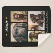 Moderne Foto Collage Meilenstein Keepake Hunde Kat Sherpadecke (Vorderseite (Horizontal))