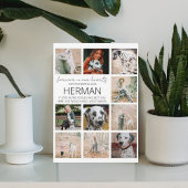 Moderne Foto Collage Plaque Fotoplatte