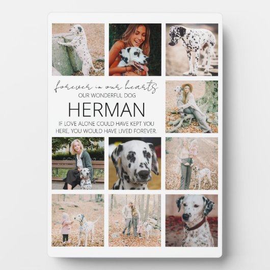 Moderne Foto Collage Plaque Fotoplatte (Vorderseite)