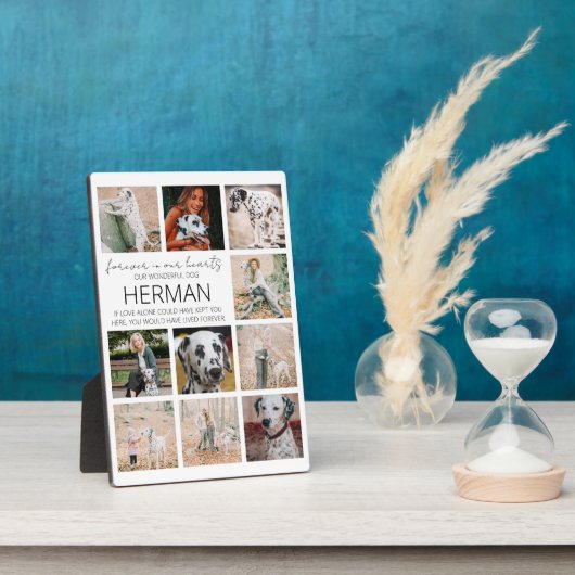 Moderne Foto Collage Plaque Fotoplatte (Seite)