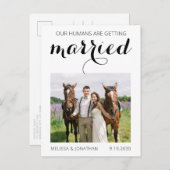 Moderne Foto-Pferdepferd-Hochzeit rettet das Datum Ankündigungspostkarte (Vorne/Hinten)