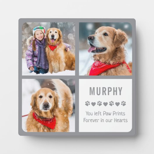 Moderne Foto-Sammlung von Hunden für Haustiere Fotoplatte (Vorderseite)