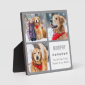 Moderne Foto-Sammlung von Hunden für Haustiere Fotoplatte (Vorderseite)