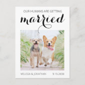 Moderne Foto Verlobung Hund Save the Date Anno Ankündigungspostkarte (Vorderseite)