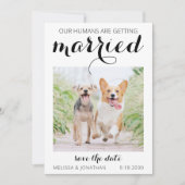 Moderne Foto-Verlobung Hunde Hochzeit Rettete D Save The Date (Vorderseite)