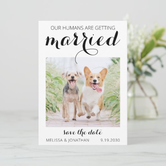 Moderne Foto-Verlobung Hunde Hochzeit Rettete D Save The Date (Stehend Vorderseite)
