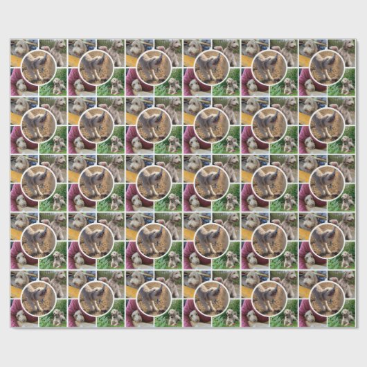 Moderne FotoCollage Geschenkpapier (Flach)