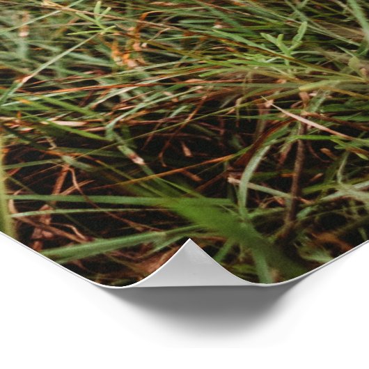 Moderne FotoCollage mit 2 Familienfotos | Entwerfe Poster (Ecke)